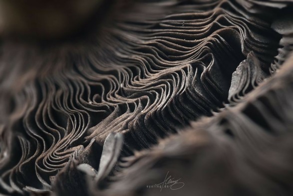 Other direction. Like pages og a book curling. Other direction. Like pages og a book curling.