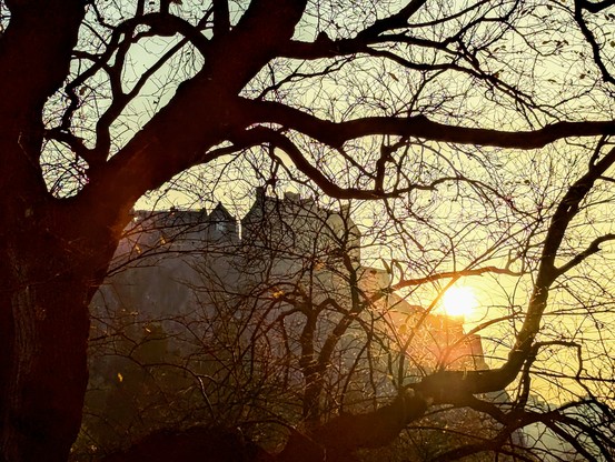 Sun setting over Edinburgh Castle yesterday.
It's definitely cutting in now
Image shows the orange sun just dipping behind the castle walls in Edinburgh with a spooky tree silhouette in the foreground Sun setting over Edinburgh Castle yesterday.
It's definitely cutting in now
Image shows the orange sun just dipping behind the castle walls in Edinburgh with a spooky tree silhouette in the foreground