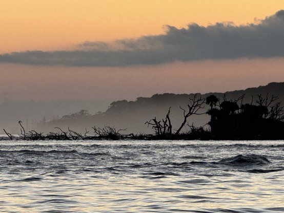 Twilight view across a frothy inlet to a dark and misty island beyond. Sun has set, leaving the sky the color of copper, with tarnished blue clouds like verdigris. Bare trees in the water, with forest line fading in the distance along the shore.