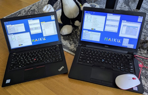 Haiku OS on a Thinkpad and a DELL laptop, bare metal