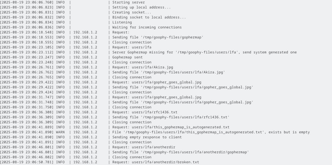 Screenshot of the output of Goophy's log file. It shows info messages, warning messages and error messages for different requests.