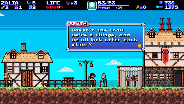 Sevim: "Doesn't she know we're a village, and we all look after each other?"