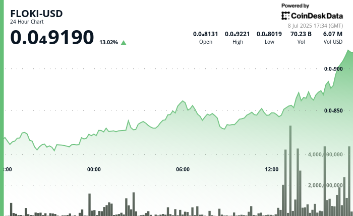 Floki price chart (CoinDesk data)