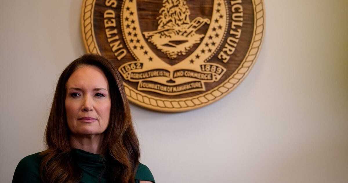 Canary media logo in type with yellow circle period.